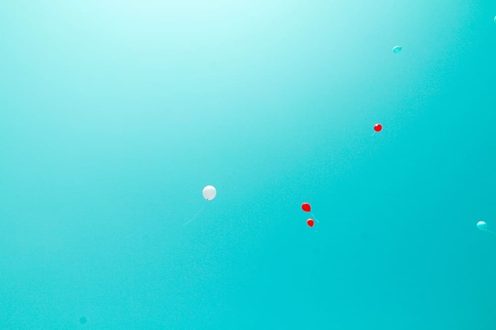 nmr03200010.jpg